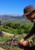fabriquer flèches arc de survie pieges bushcraft Pyrénées Orientales