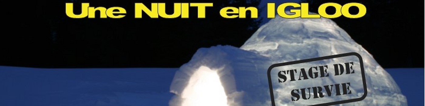 Décembre à Mars : Bon cadeau à offrir : Une Nuit en IGLOO