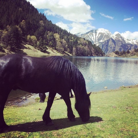 rando lac passet porté puymorens